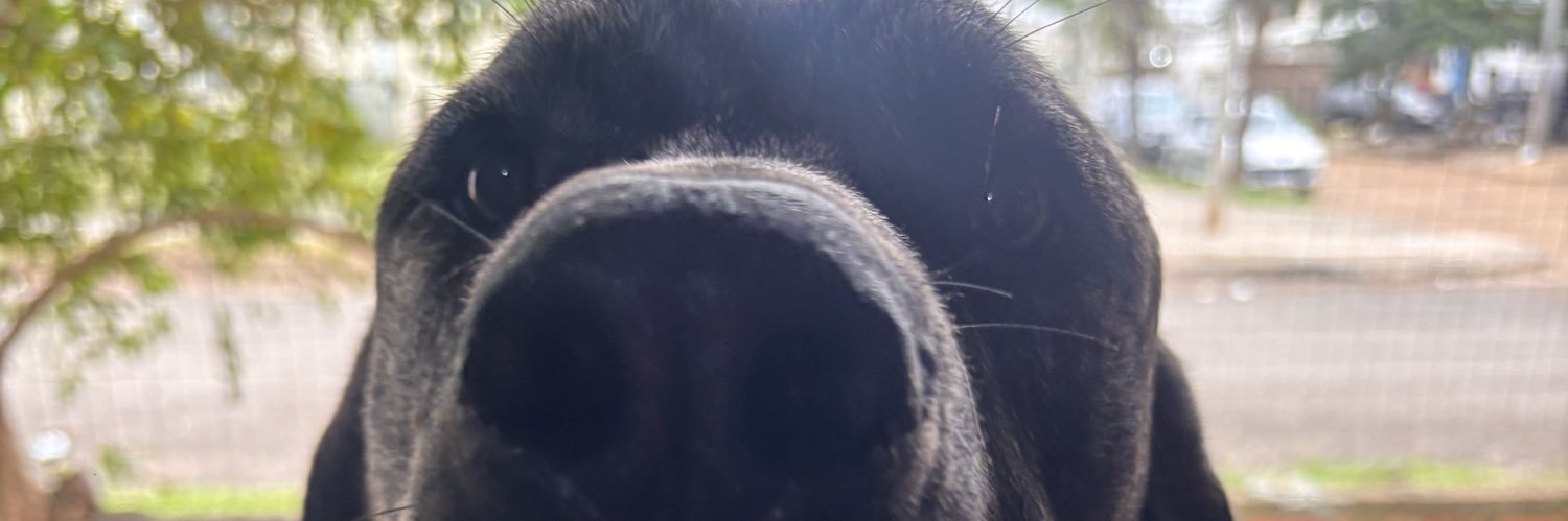 cabreracami14's profile banner image