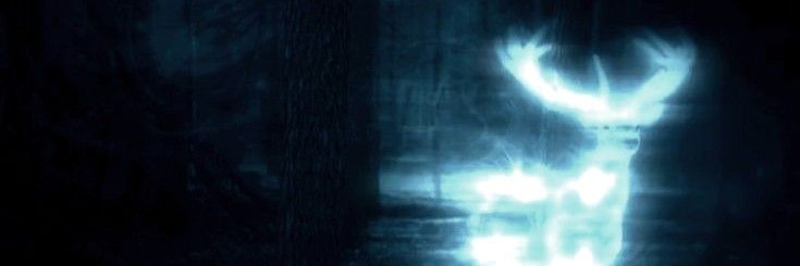 Wispyfog's profile banner image