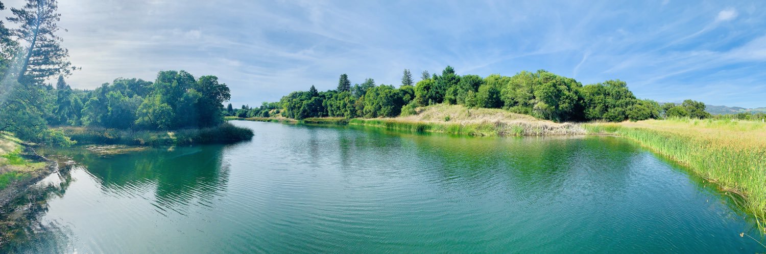 Dave Hendrickson banner