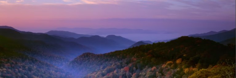 DaggerTNSC's profile banner image