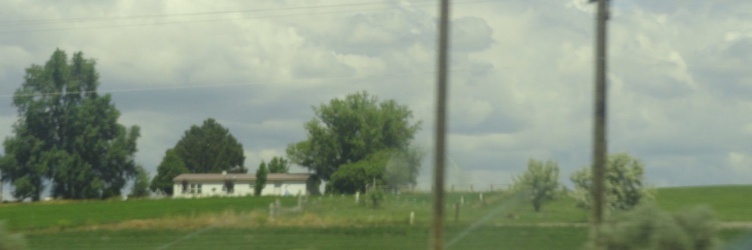 danny banner