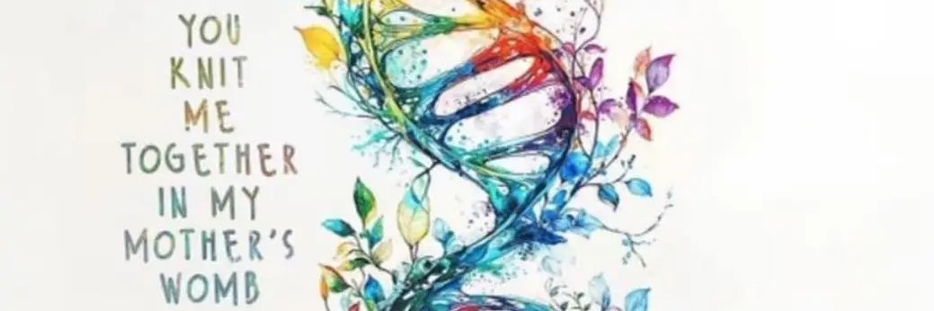 Magnifikat ✝️🌷's banner