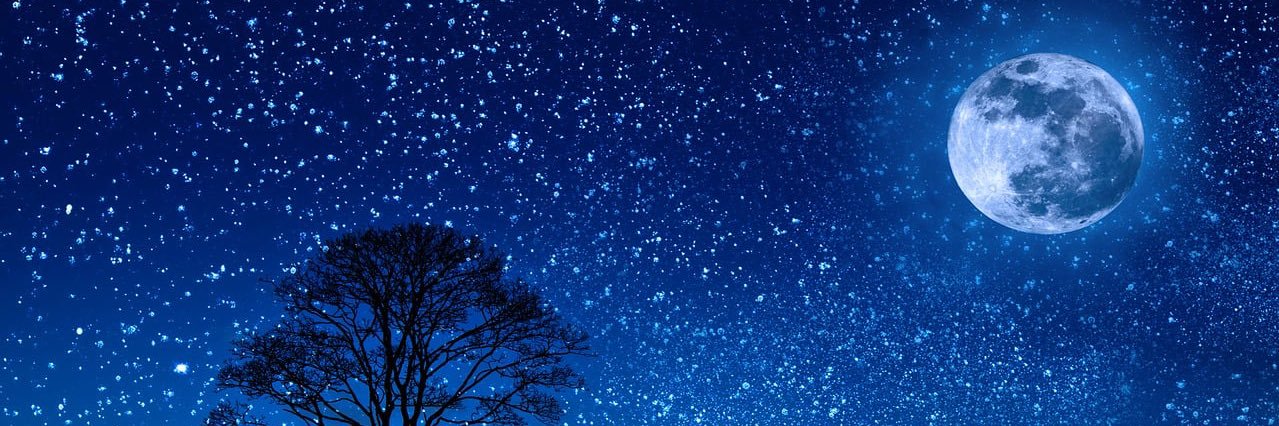 月森朔夜 banner