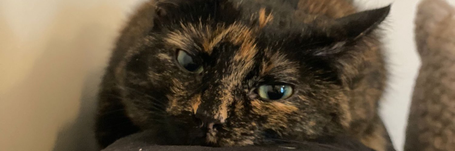 syddrewm's profile banner image