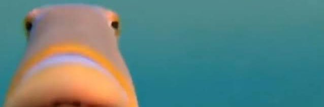 stephyarias's profile banner image