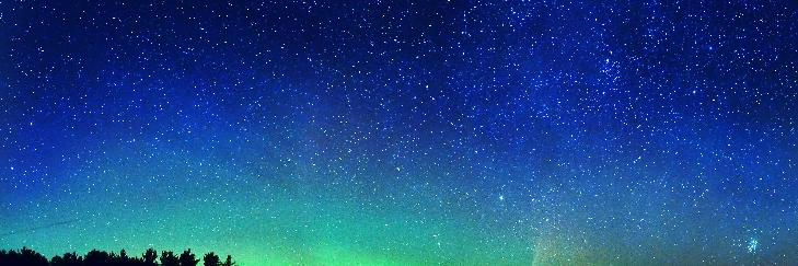 sandersoniaa's profile banner image