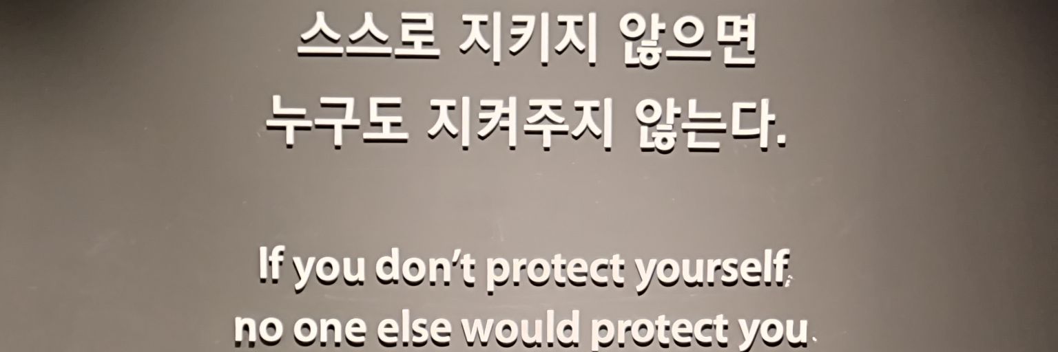 Sharkie 상어 🦈's banner