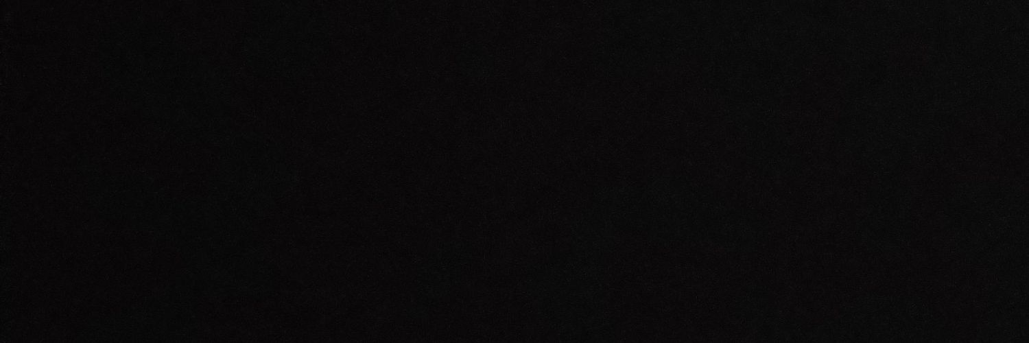 archivescamargo's profile banner image