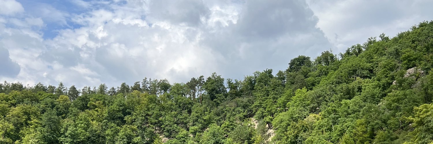Tania Chernetska banner