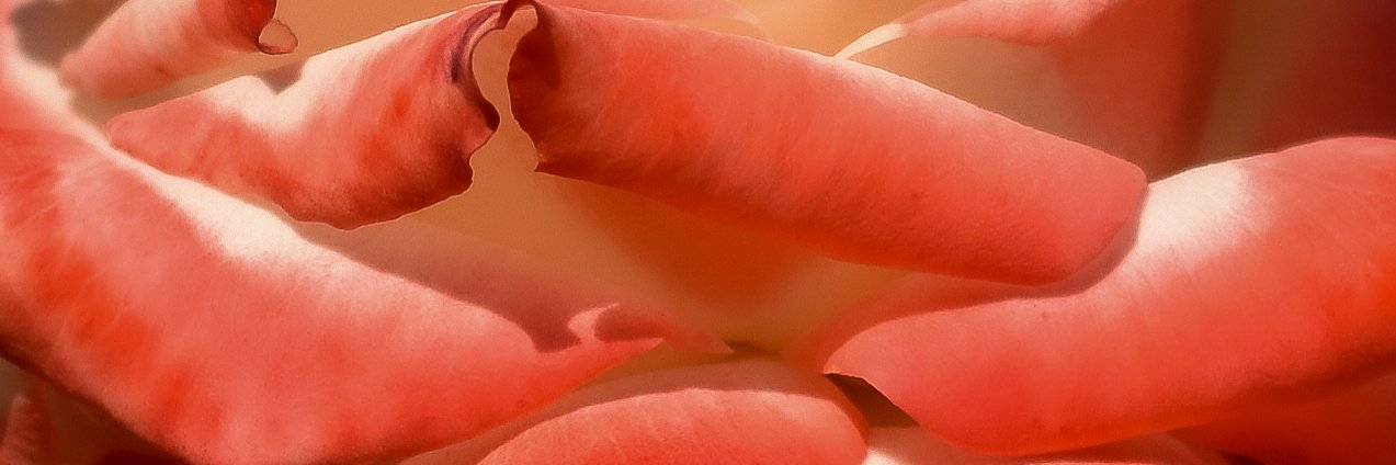 Serafinarnaud's profile banner image