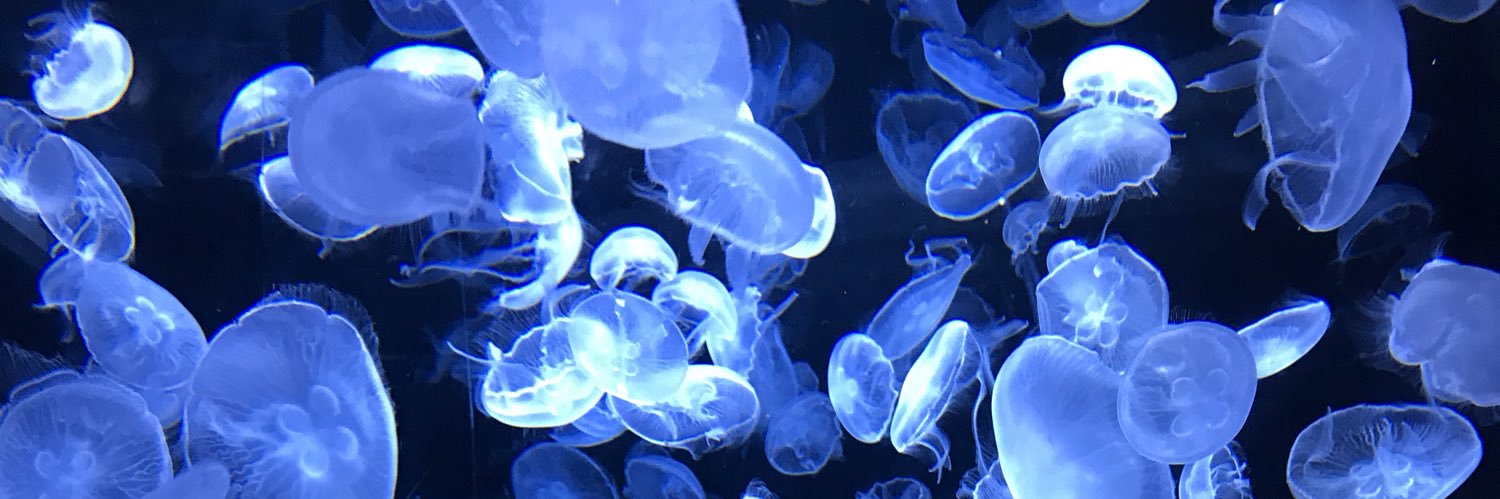 a01333's profile banner image