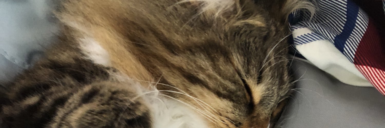 soundfox03's profile banner image