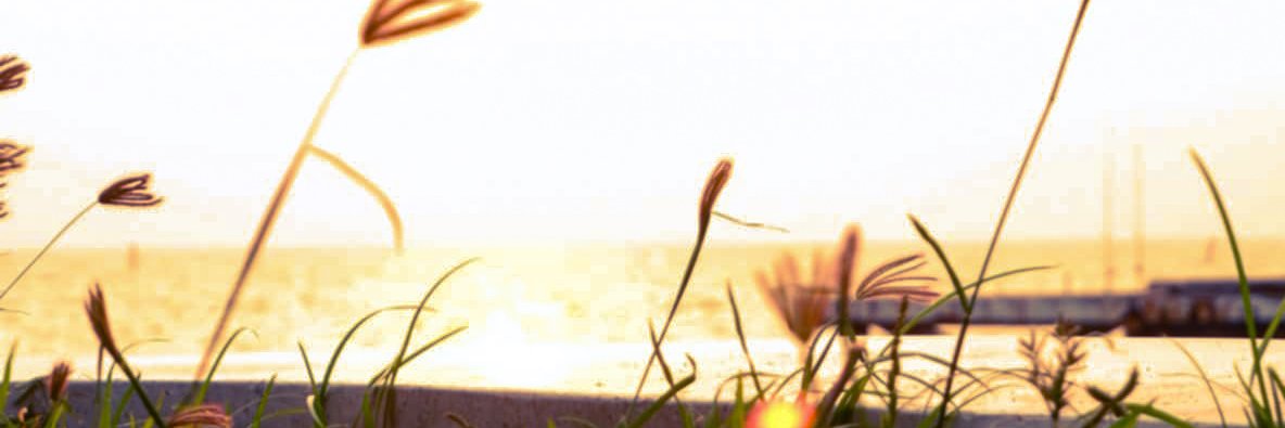Twitter banner for @Upper_Cuz