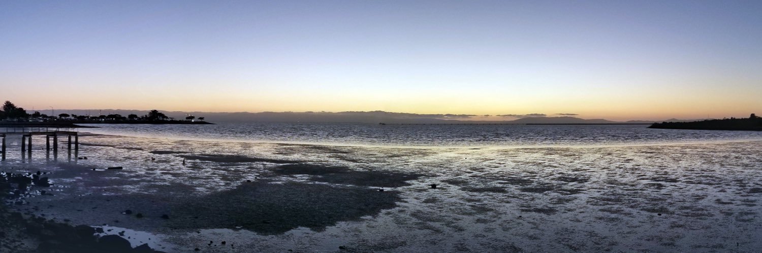 PromoChick😷 banner