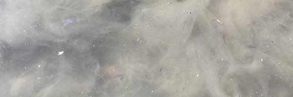 SwagChampion6 Profile Banner