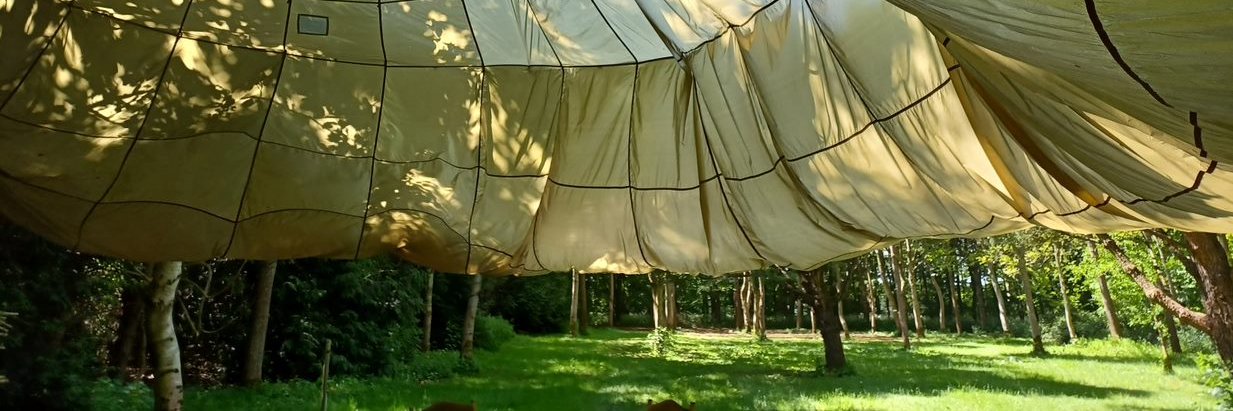 The Campfire Experience's banner