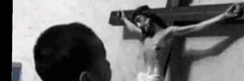 Hall Nightwolf banner