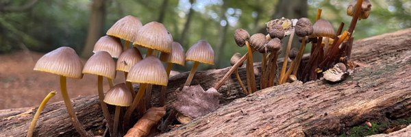 10000Delights Profile Banner