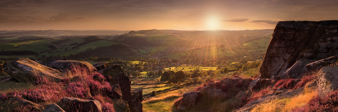 Emma Alexander banner