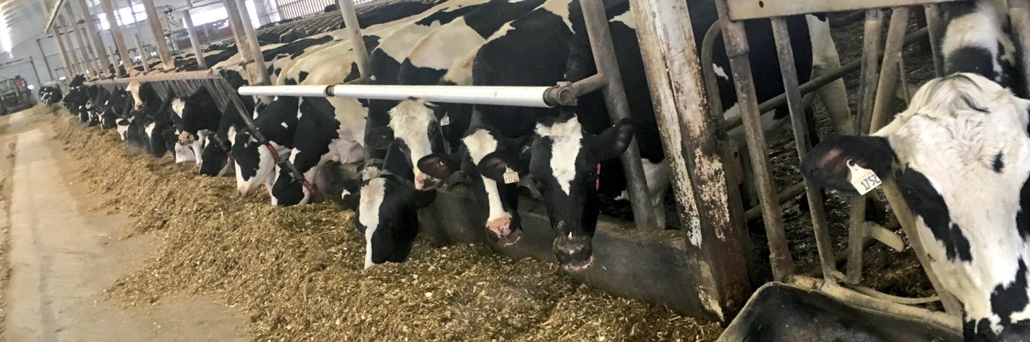 Bernie Kamphof banner