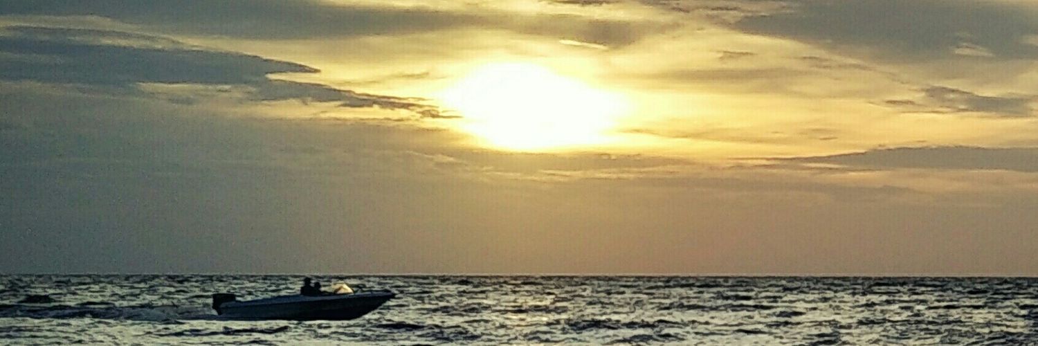 amedlebon's profile banner image
