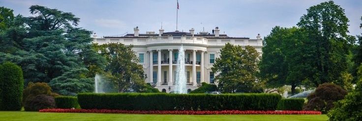 Aaron Shore 》 Vice President 《 banner