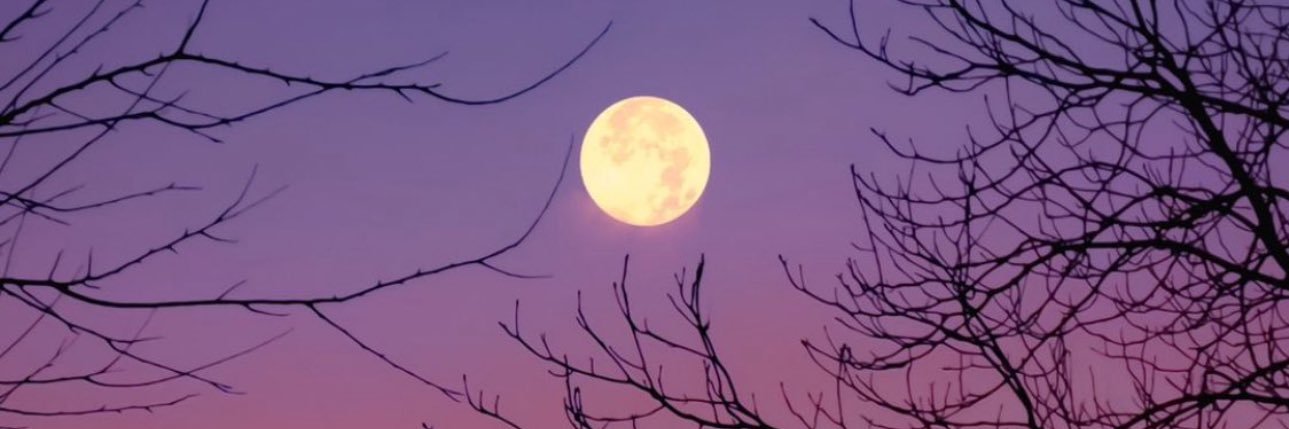 OfWorld22's profile banner image