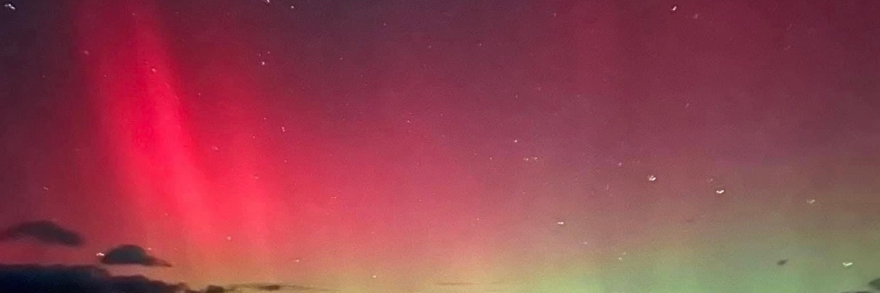 cattykitty's profile banner image