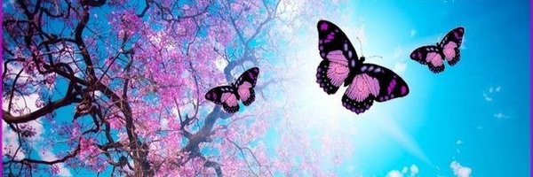 iam_eloie Profile Banner