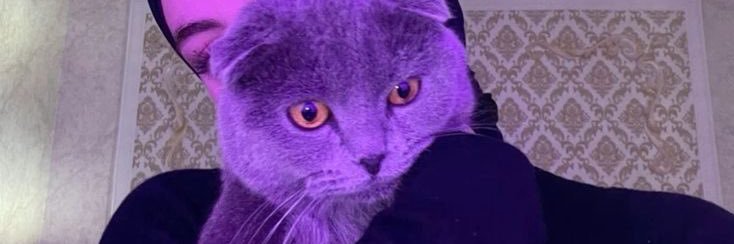 Sude banner