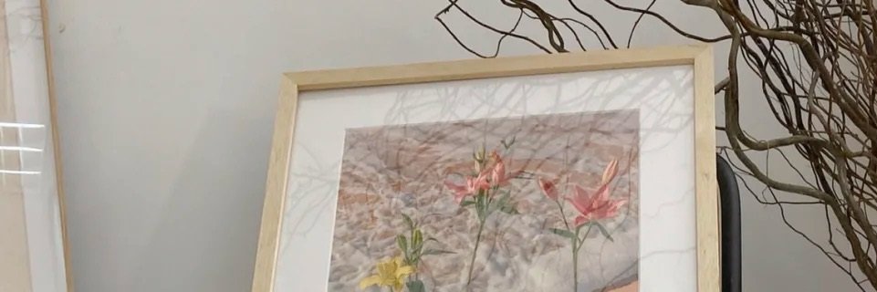 Emiluv1Vv's profile banner image