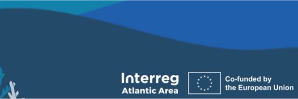 beap_mar Profile Banner