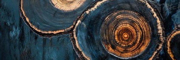 GreenFutureJT Profile Banner