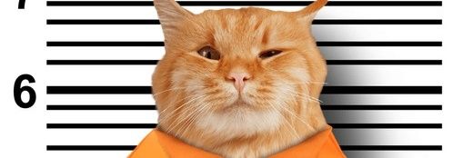 marr79487's profile banner image
