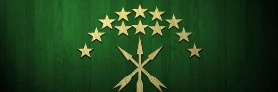 Azamat "The Professional" Murzakanov banner