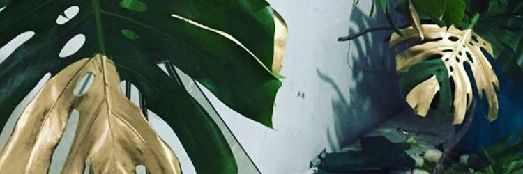 walaabyz's profile banner image