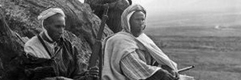 kokho ameziane banner