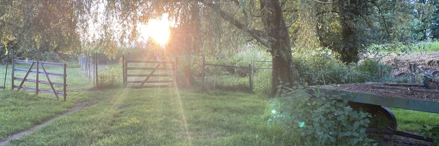 MayaSRussell's profile banner image