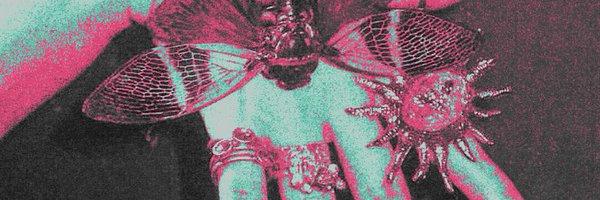 sonnendame Profile Banner