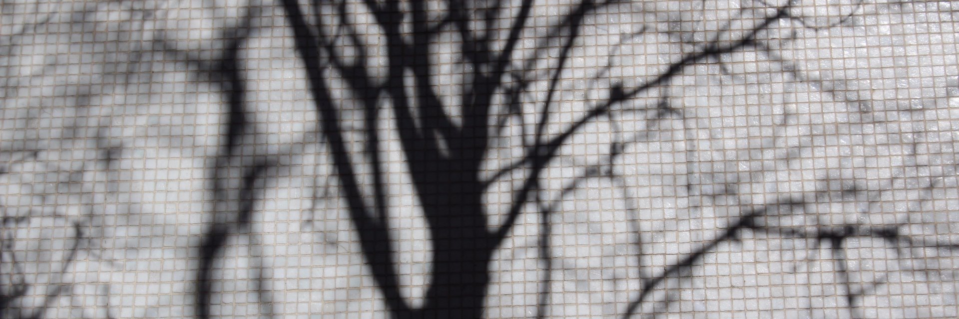 bridge_berlyn's profile banner image
