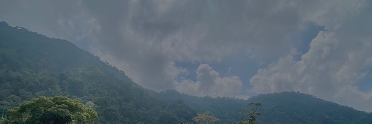 Edoo Fingger banner