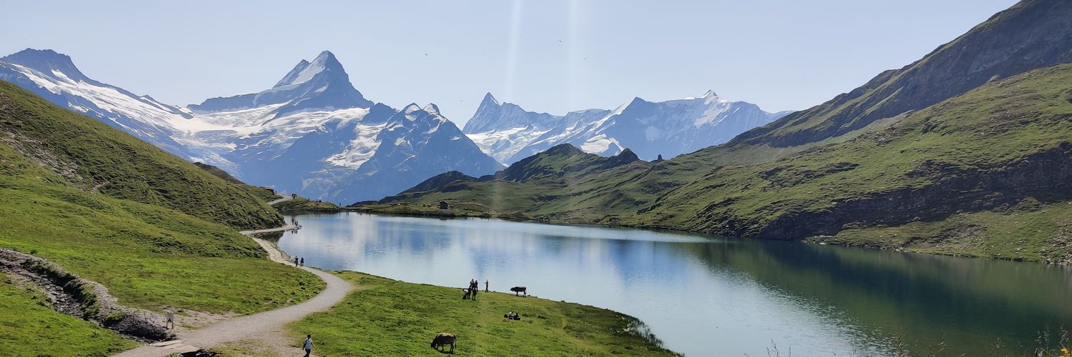 Jessica Tibaldi banner