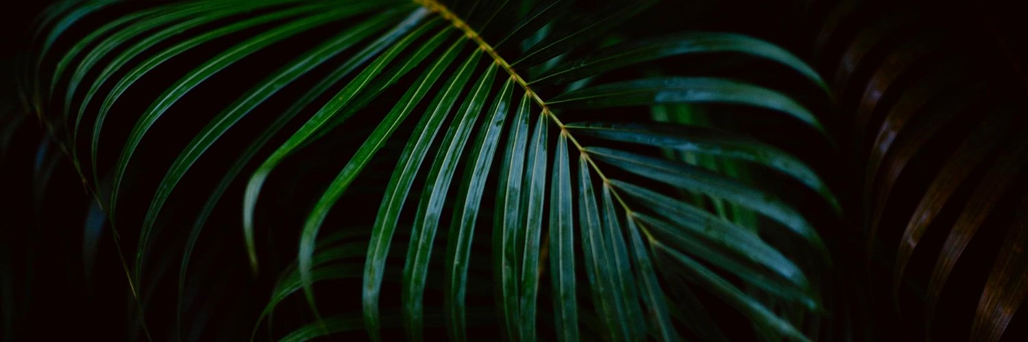 mtmerabi's profile banner image