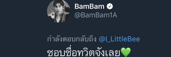 I_LittleBee Profile Banner