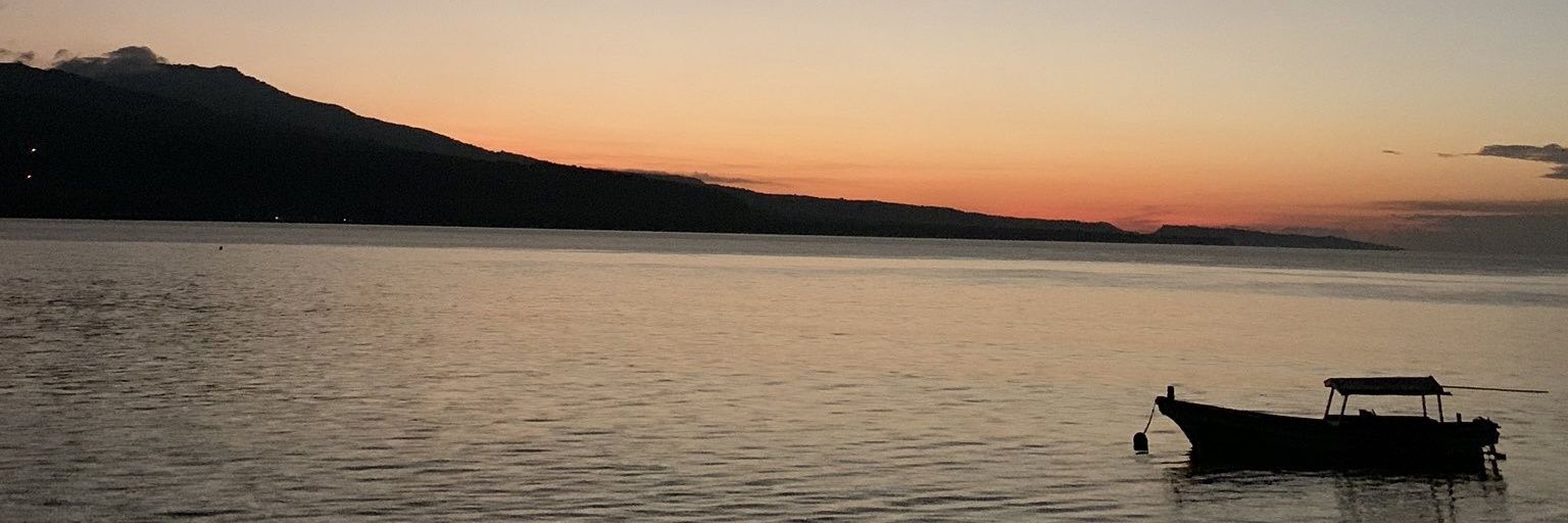 adam_rex's profile banner image