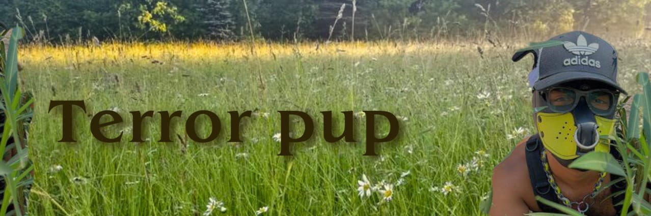 Terrorpup3's profile banner image