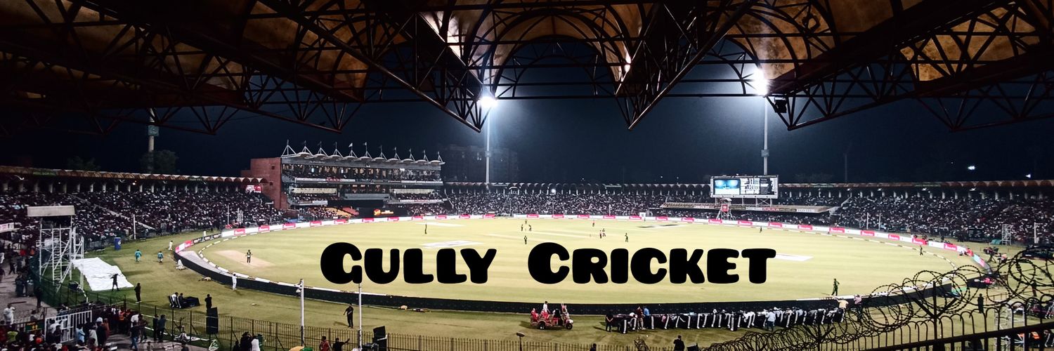 Gully Cricket banner