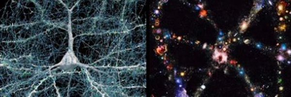 bo_bill44641 Profile Banner