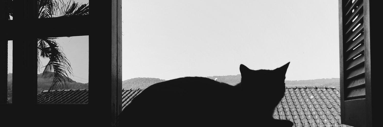 A_Tarsila's profile banner image