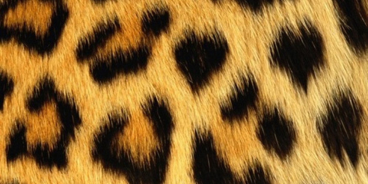 _niekjee's profile banner image